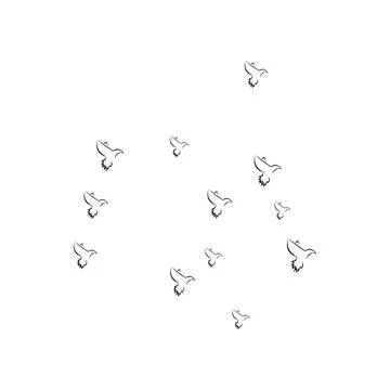 Pigeon logo Stock Photos