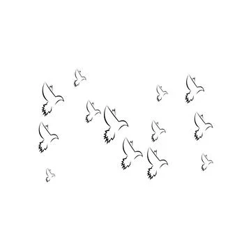 Pigeon logo Stock Photos