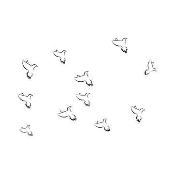Pigeon logo Stock Photos