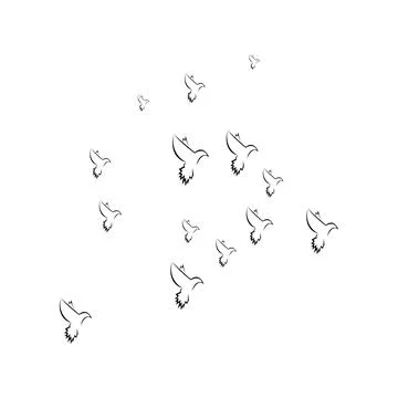Pigeon logo Stock Photos
