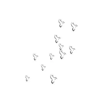 Pigeon logo Stock Photos