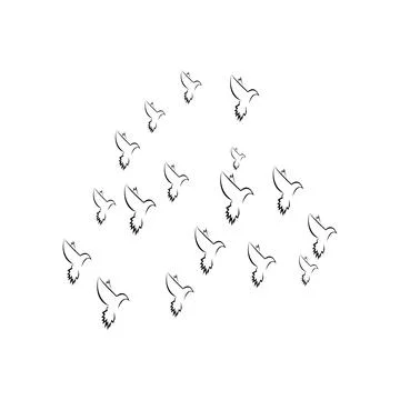 Pigeon logo Stock Photos