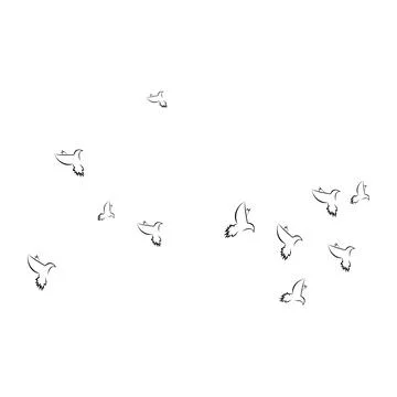 Pigeon logo Stock Photos