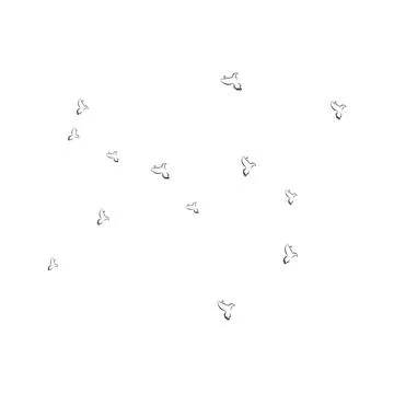 Pigeon logo Stock Photos