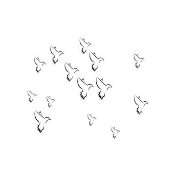 Pigeon logo Stock Photos
