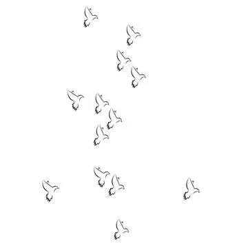 Pigeon logo Stock Photos