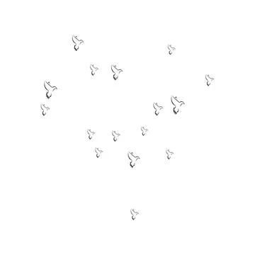 Pigeon logo Stock Photos