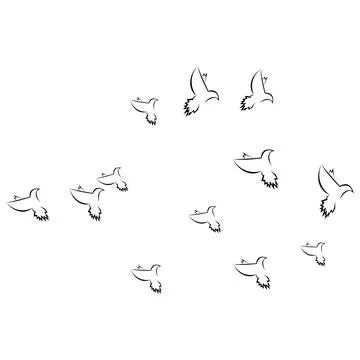 Pigeon logo Stock Photos