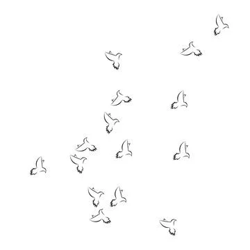Pigeon logo Stock Photos