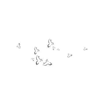 Pigeon logo Stock Photos