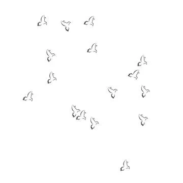 Pigeon logo Stock Photos