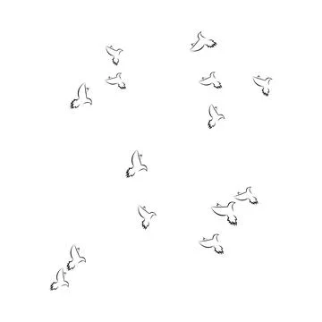 Pigeon logo Stock Photos