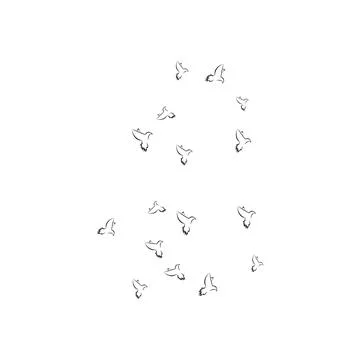 Pigeon logo Stock Photos