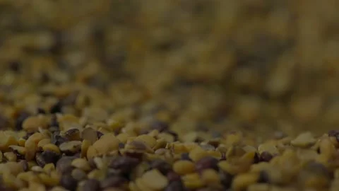 Pigeon peas processing in mill Stock Footage 217905321