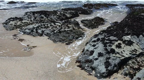 Pigeon Point Stock Footage 5165378