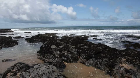 Pigeon Point Stock Footage 5165426