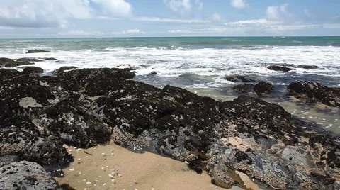 Pigeon Point Stock Footage 5165526