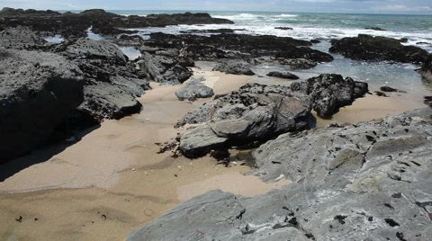 Pigeon Point Video stock 5165573