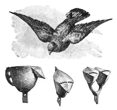 Pigeon Post, Java, Indonesia.History and Culture of Asia. Antique Vintage Stock Illustration