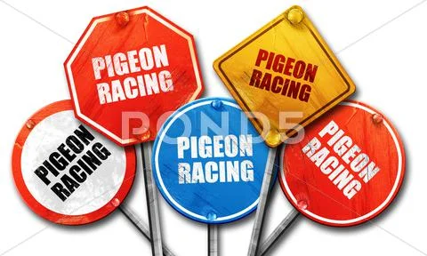 Pigeon racing, 3D rendering, rough street sign collection Stock Illustration