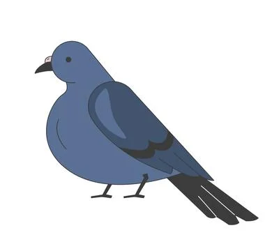 Pigeon side view 2D cartoon character Stock Illustration