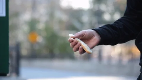 Pigeon sits on mans finger while eating bread from his hand Stock-Footage 98652195
