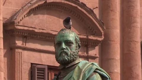 Pigeon sitting on the head of a statue Stock Footage 161019472