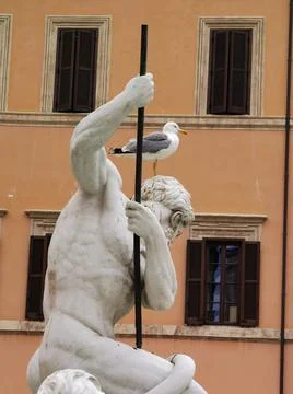 Pigeon on the statue Stock Photos