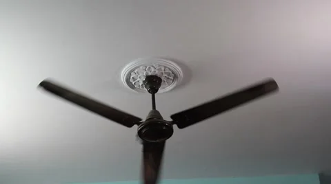 Pigeon swinging 스톡 동영상 66509724