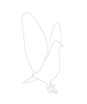 Pigeon vector contour character flat illustration. Dove pigeon seen in Side.. Stock Illustration