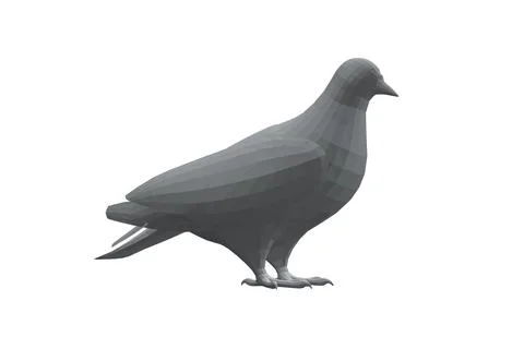Pigeon vector polygonal character flat illustration. Dove pigeon seen in Side Stock Illustration