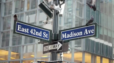 Pigeons on 42nd and Madsion street sign New York City Stock Footage