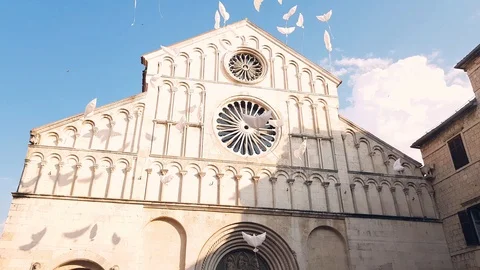 Pigeons in the air Stock Footage 99871908