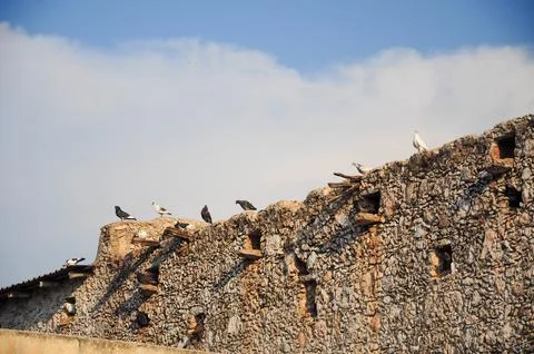 Pigeons on ancient stone wall under clear sky, showcasing rustic charm Foto stock