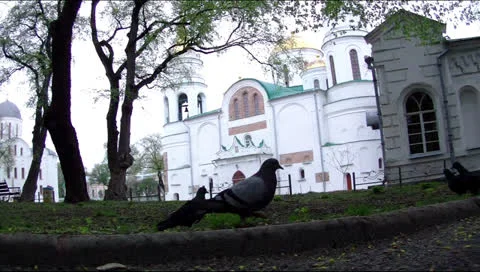 Pigeons, ancient temples Stock Footage 22978112