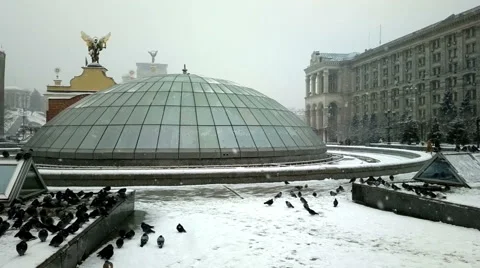 Pigeons are heated in winter. Stock Footage 54339358