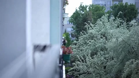 Pigeons on the balcony Stock Footage 131848333