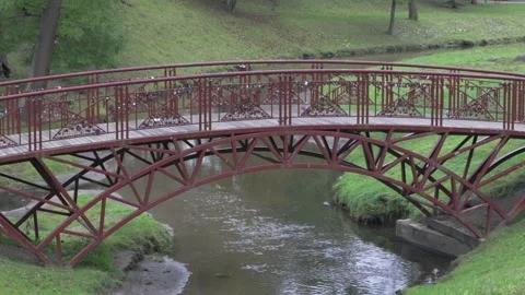 Pigeons on a bridge Stock-Footage 162228733