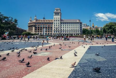 Pigeons at Catalonia Square. View with buildings of Public Library of Barcelona Stock Photos
