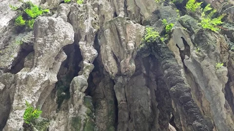 Pigeons in the cave Stock Footage 334939510