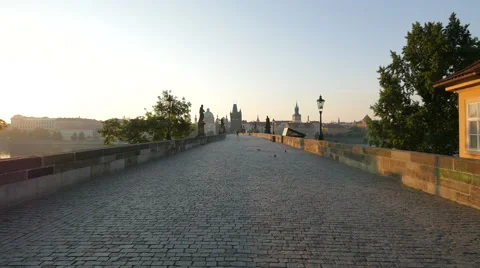 Pigeons on Charles Bridge, Prague Stock Footage 56447083