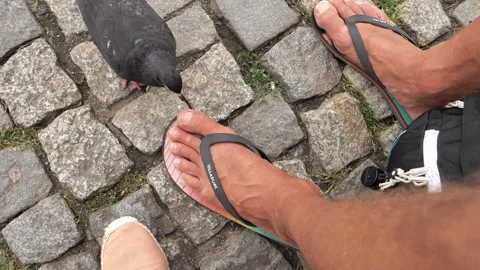 Pigeons eating on the ground next to man feet on flip-flops. Stock Footage 255214936
