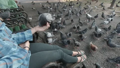 Pigeons eating on the hand Stock Footage 151390290