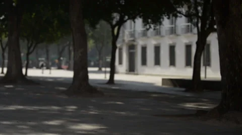 Pigeons Feeding ate the Square Stock Footage 37458774