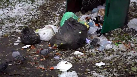 Pigeons feeding in a compost bin. Stock Footage 69253247