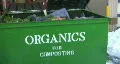 Pigeons feeding in 'ORGANICS' bin. HD Footage