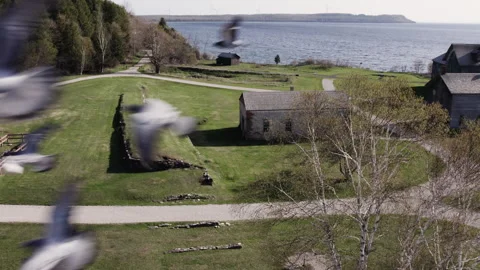 Pigeons flocking by a ghost town again, 4k, slow-mo drone shot Video stock 243534753