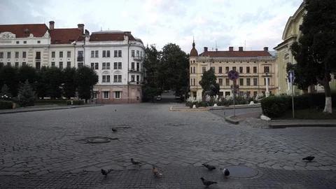 Pigeons fly out of the ground Stock Footage 111748671