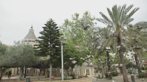 Pigeons Flying In Nazareth Square Stock Footage 102178201