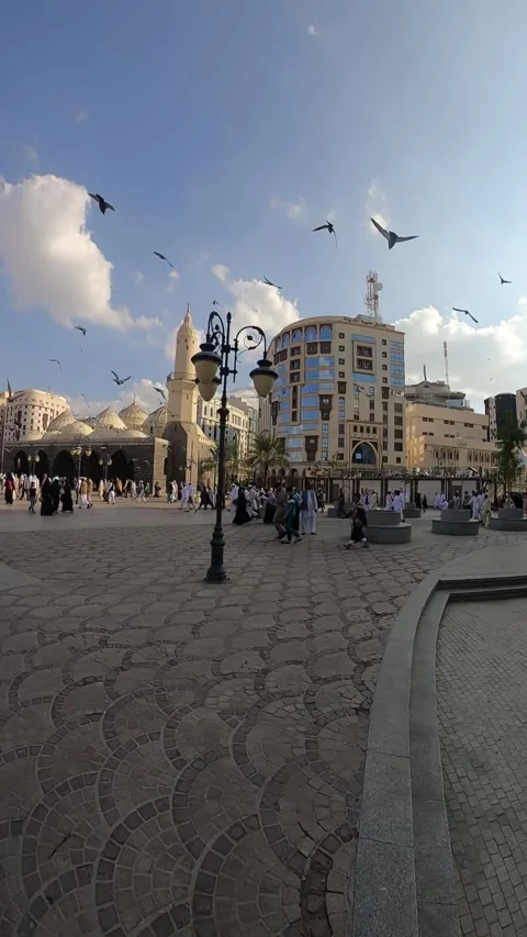 Pigeons Flying Over Historic Mosques in Medina Plaza Stock Footage 346194673